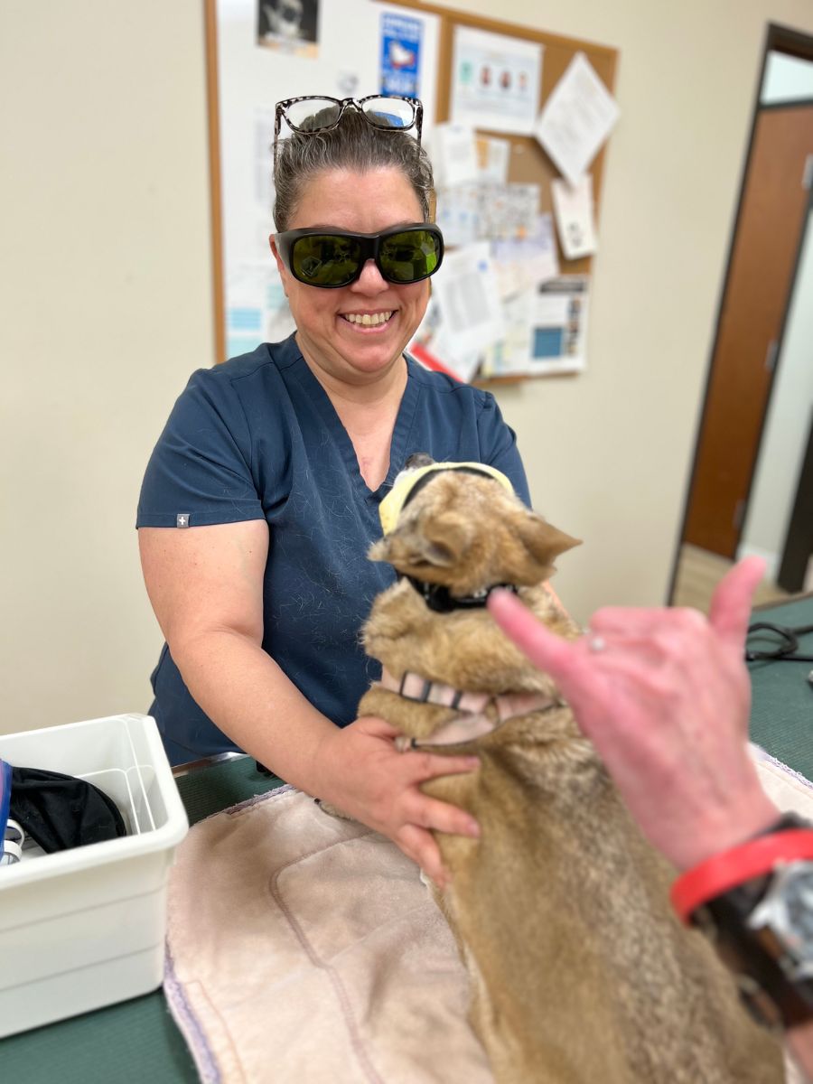 A woman and a dog with sunglasses