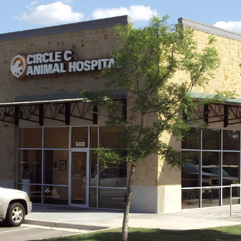 Circle C Animal Hospital Building